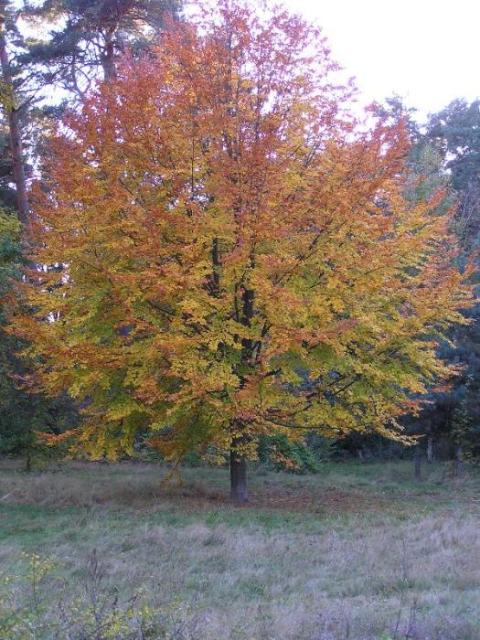 2. Oktober 2004
