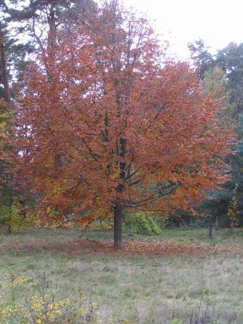 16. Oktober 2004