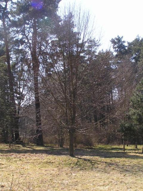 19. März 2005