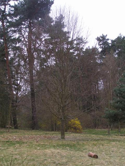 2. April 2005