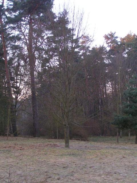 22. Januar 2005