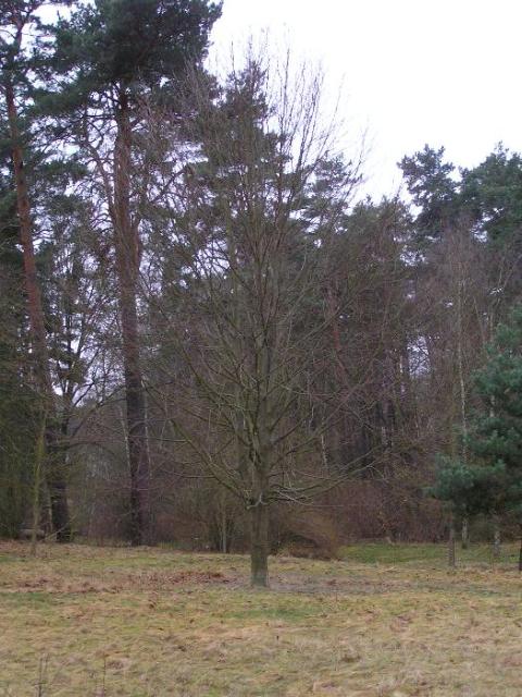 25. Dezember 2004