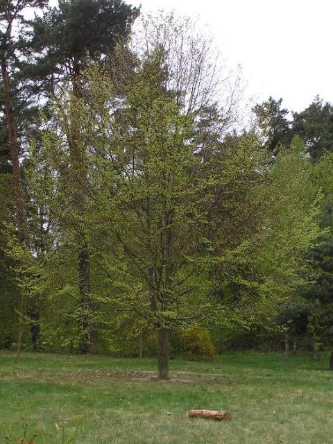 30. April 2005