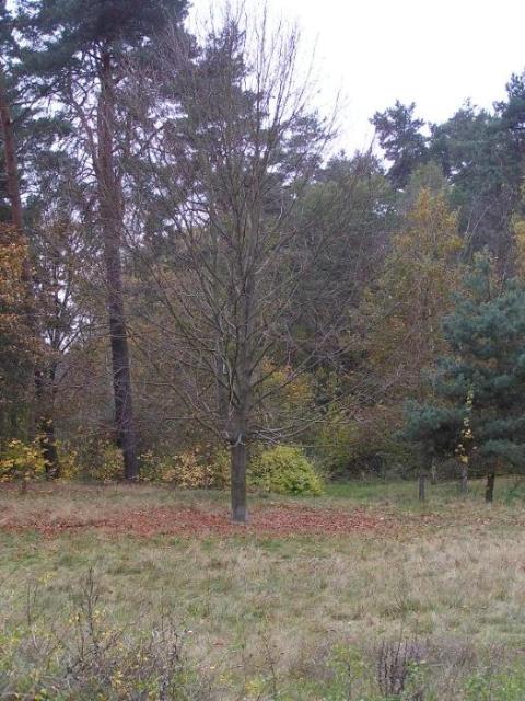 30. Oktober 2004